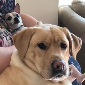 Meet your Posher, Kaitlyn